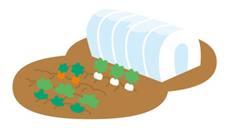 畑のイラスト